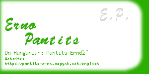 erno pantits business card